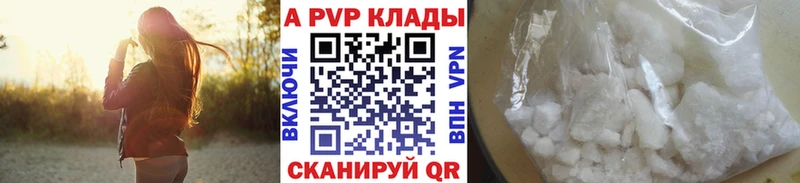 A PVP СК  Вологда 