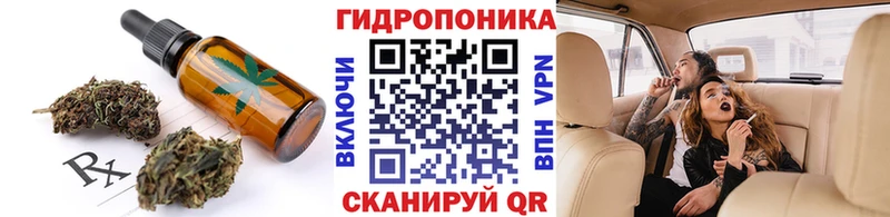 Cannafood конопля  Вологда 