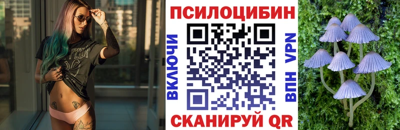 Галлюциногенные грибы Psilocybine cubensis  блэк спрут маркетплейс  сайты даркнета официальный сайт  Вологда 