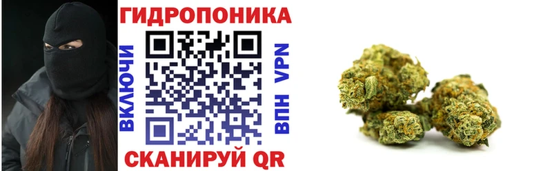 как найти закладки  Вологда  Марихуана марихуана 